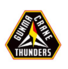 群马雷鹤logo