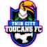 双城巨嘴鸟logo